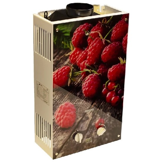 Водонагреватель проточный газовый WERTRUS 10EG BERRY 